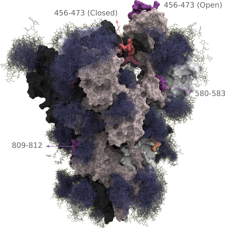 Figure from Landscape and Selection of Vaccine Epitopes in SARS-CoV-2