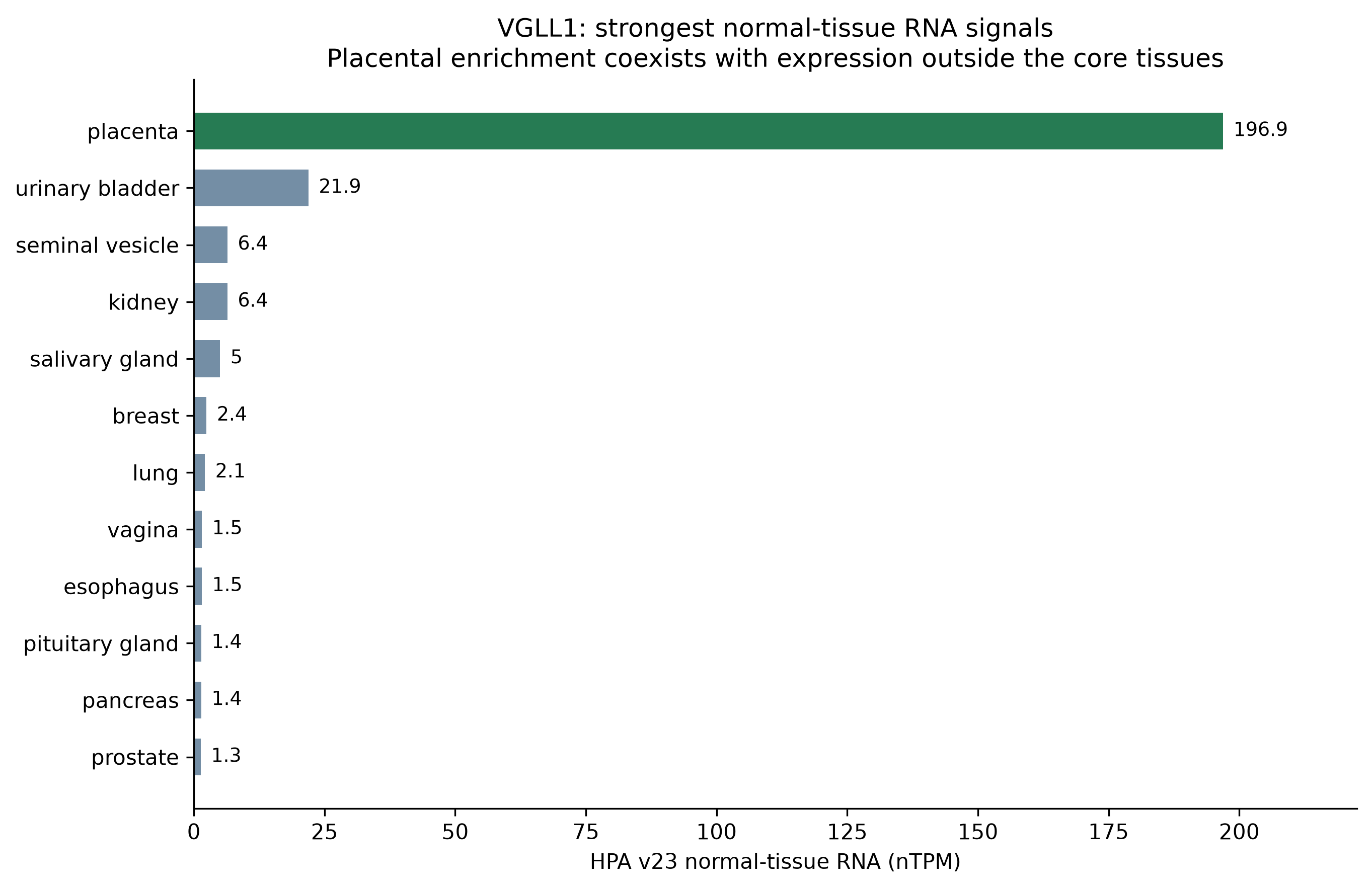 VGLL1 normal RNA